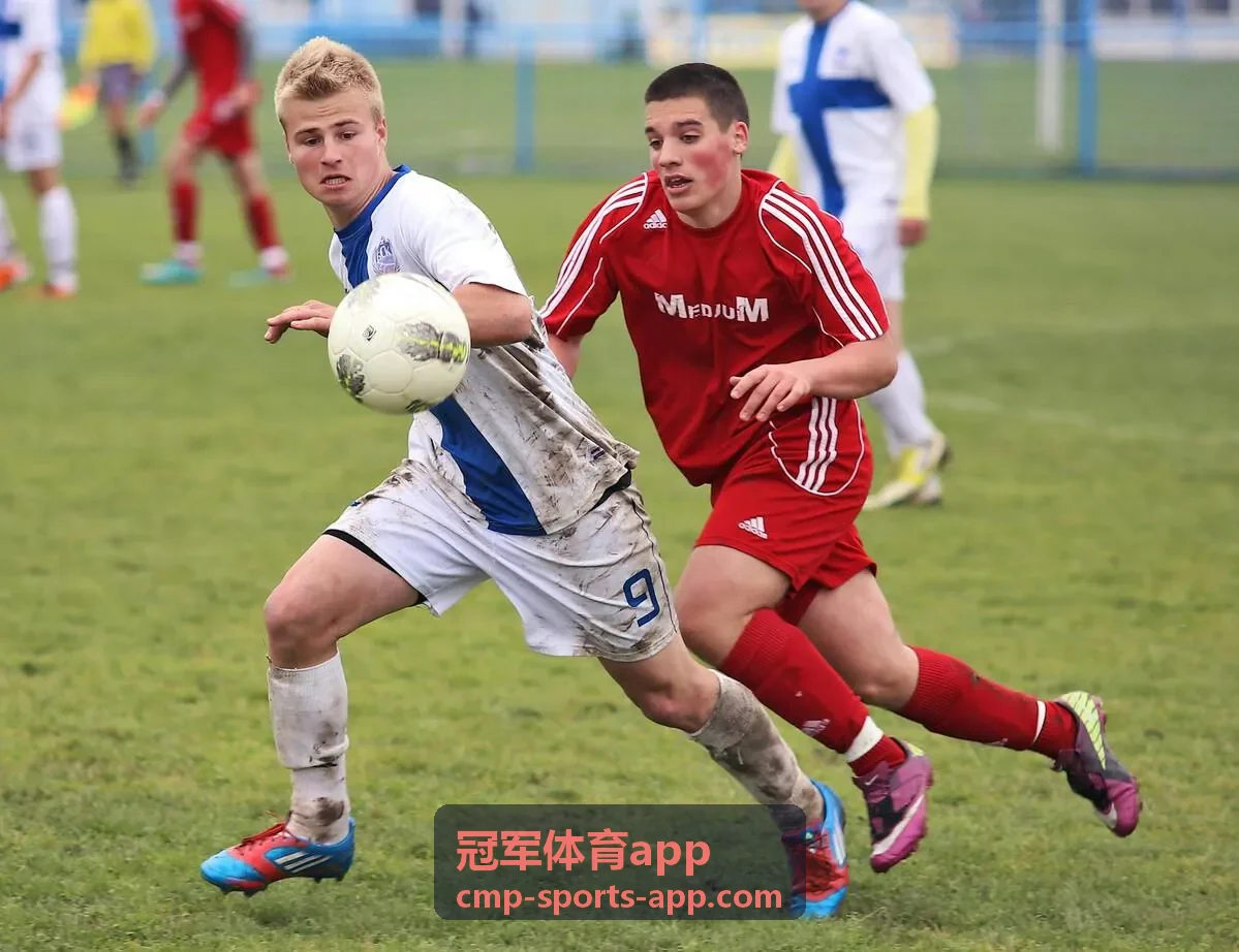 冠军体育app赛事分析仪表盘